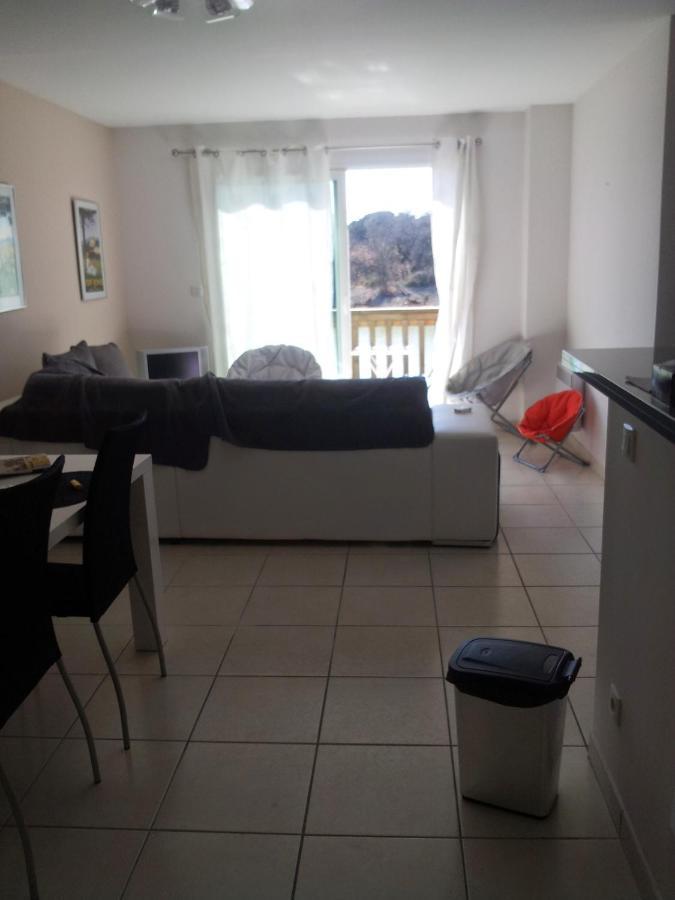 Chambre Grand Appartement Περπινιάν Εξωτερικό φωτογραφία